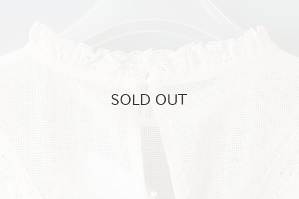 画像11: コットンメッシュ レースノースリーブブラウス (IV)