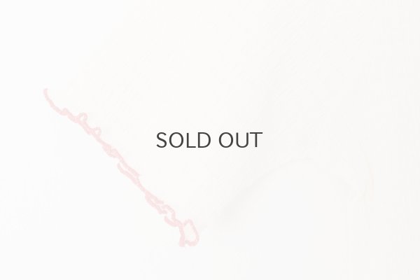 画像5: オーガニックブルーゼ メロー配色半袖プルオーバー (IV)