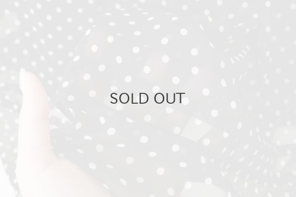 画像14: ドット刺繍 ワンピース (BK)