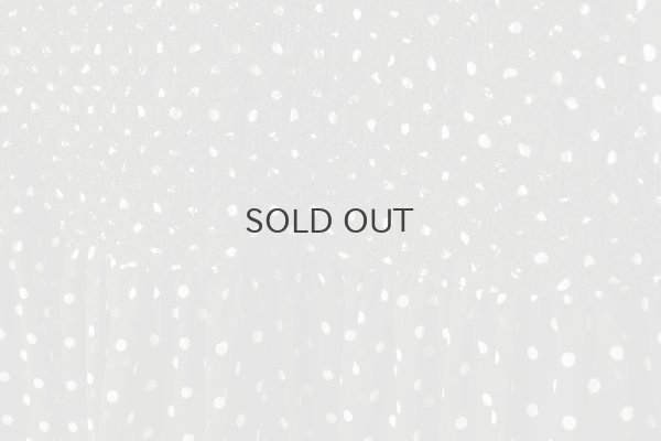 画像6: ドット刺繍 ワンピース (BK)