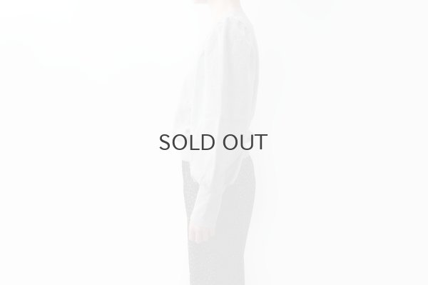 画像9: アメリカンドライ裏毛 ボリューム袖プルオーバー (GY)