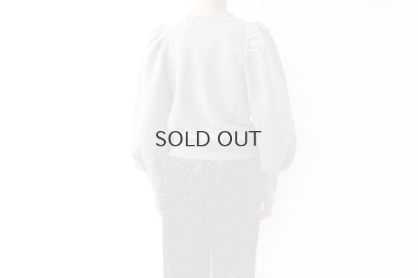 画像10: アメリカンドライ裏毛 ボリューム袖プルオーバー (GY)