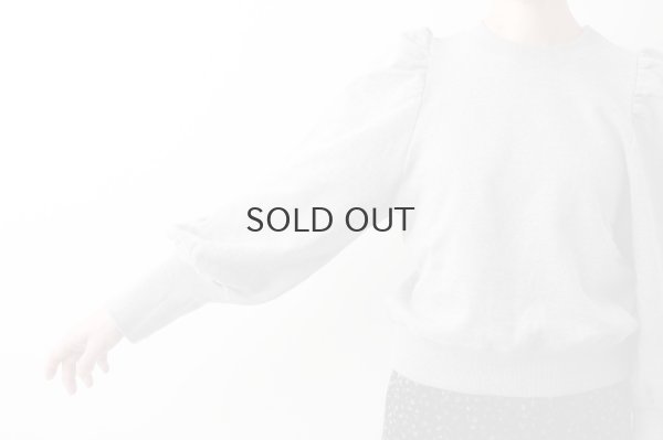 画像11: アメリカンドライ裏毛 ボリューム袖プルオーバー (GY)