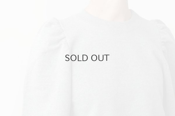 画像12: アメリカンドライ裏毛 ボリューム袖プルオーバー (GY)