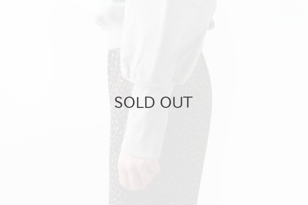 画像14: アメリカンドライ裏毛 ボリューム袖プルオーバー (GY)