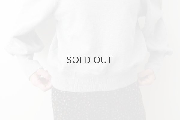 画像13: アメリカンドライ裏毛 ボリューム袖プルオーバー (GY)