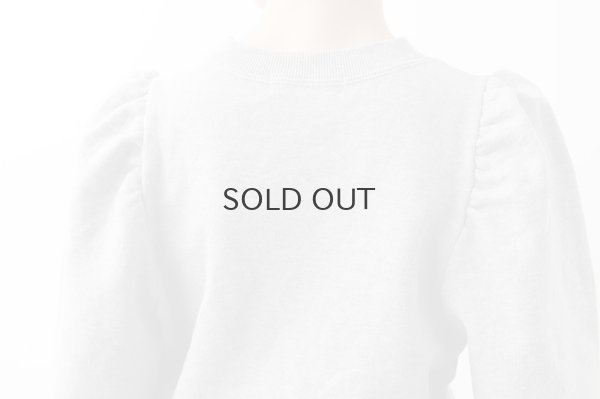 画像15: アメリカンドライ裏毛 ボリューム袖プルオーバー (GY)