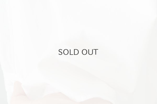 画像11: 別注!! 100/2 ブロードレースブラウス (WH)