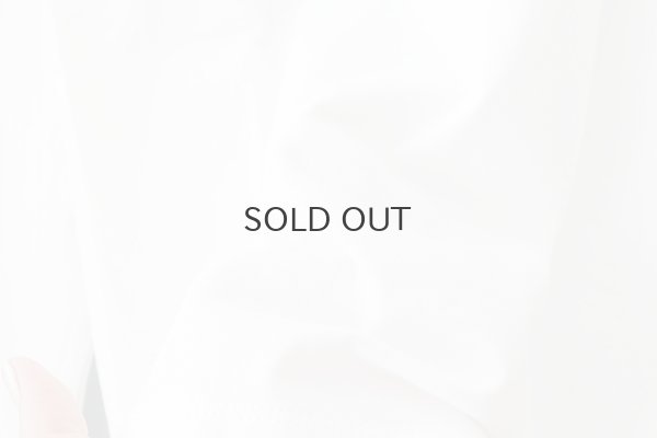 画像10: 【再入荷予約:1月中旬】30/-天竺 ティアードコットンレースプルオーバー (WH)