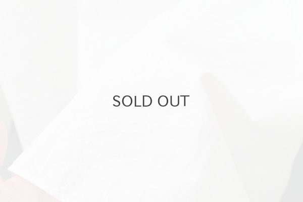 画像10: ワッシャータイプライター フリルカラーシャツ (WH)