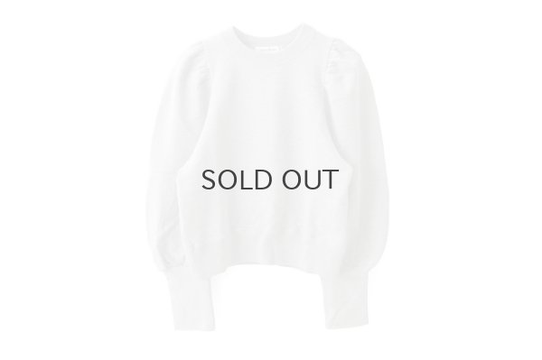 画像1: アメリカンドライ裏毛 ボリューム袖プルオーバー (GY)