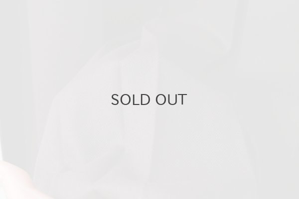 画像9:  2 / 60 サキソニー プリーツワンピース (BR)