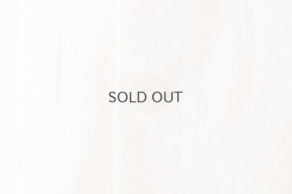 画像5: Minmin blouse (IV)