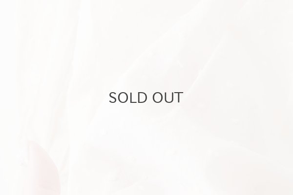 画像10: Minmin blouse (IV)