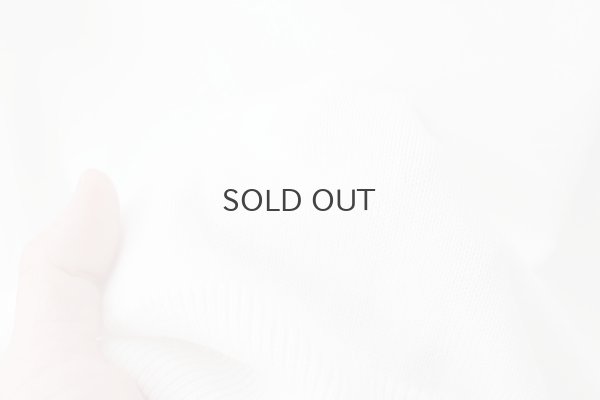 画像8: shop別注!! 32/2強撚綿フリル衿長袖プルオーバー (WH)