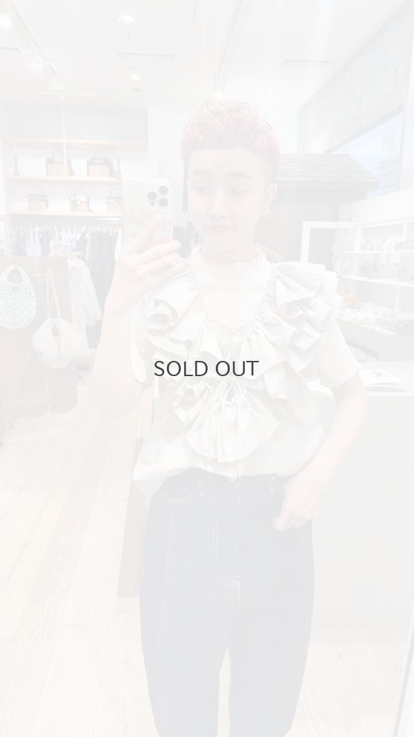 画像11: オーガニックブルーゼ メロー配色半袖プルオーバー (IV)