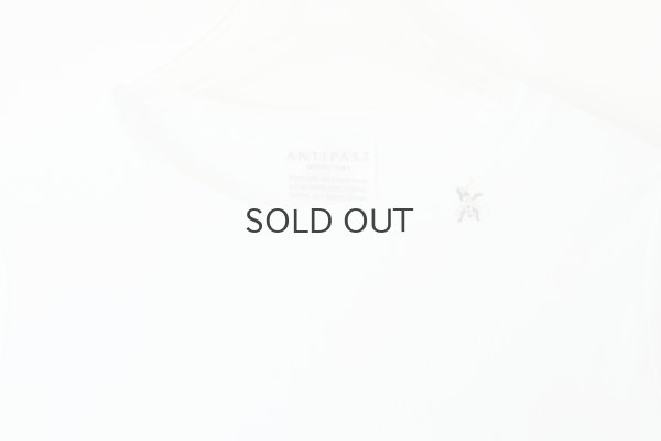 画像3: Cotton Frice crew neck T-shirts with Bee KNT0H (WH)