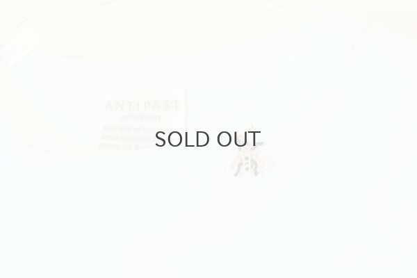 画像4: Cotton Frice crew neck T-shirts with Bee KNT0H (WH)