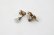 画像7: Bee&Clover Pierced/Earrings (OR×BR)