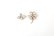 画像1: Bee&Clover Pierced/Earrings (CRY) (1)