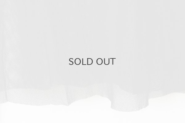 画像5: Mesh Shirt with Flock MT117D-F78 (BK×IV)