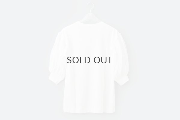 画像2: COTTON FREICE T-SHIRT w/MESH SLEEVES (KNT253A:WH)