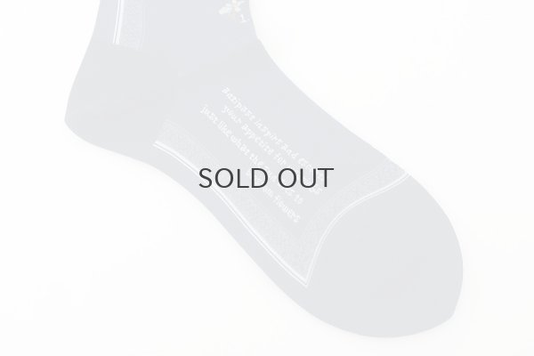 画像11: BOTANICAL XVI SOCKS (AM-801)