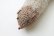 画像3: ALPACA KNIT MUFFLER (KU61A:IV) (3)