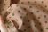画像5: Khadi Silk Polka dots Print Back Button Sailor Blouse (C.BR)