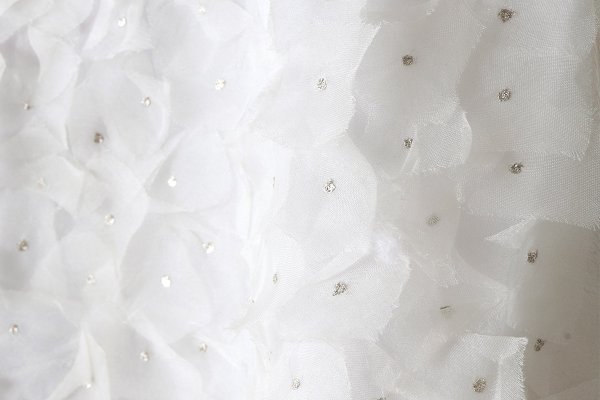 画像5: shop別注!! Khadi Silk Organdy & Embroidery Dress (OWH)