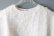 画像4: Khadi Silk Organdy & Embroidery Blouse (OWH)