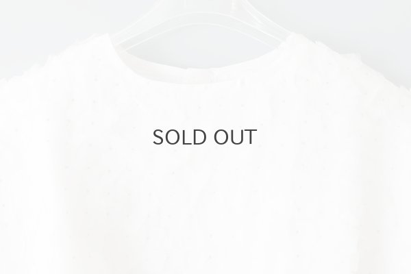 画像4: Khadi Silk Organdy & Embroidery Blouse (OWH)