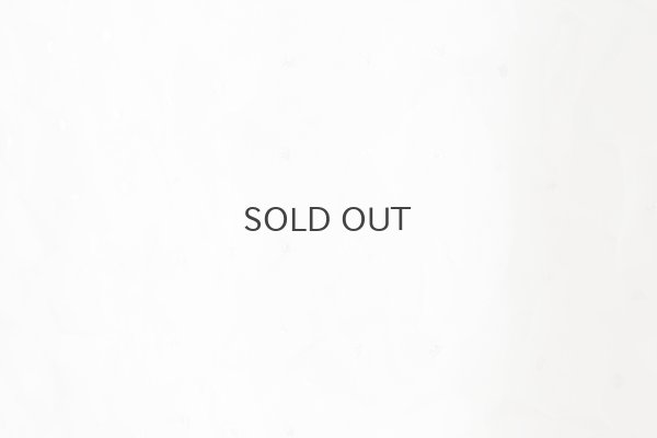 画像6: Khadi Silk Organdy & Embroidery Blouse (OWH)