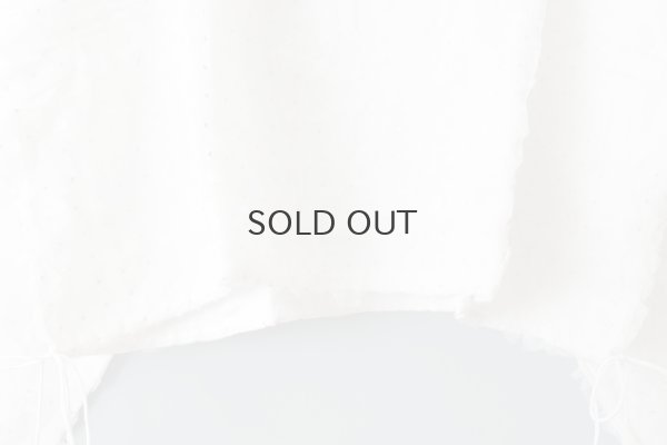 画像5: Khadi Silk Organdy & Embroidery Blouse (OWH)