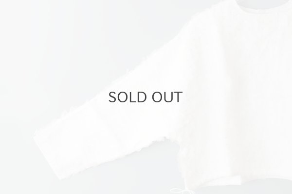 画像3: Khadi Silk Organdy & Embroidery Blouse (OWH)