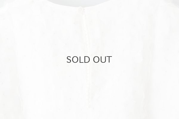 画像7: Khadi Silk Organdy & Embroidery Blouse (OWH)