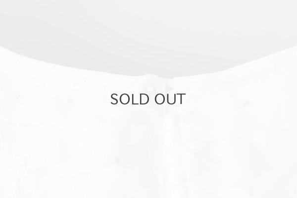 画像8: Khadi Silk Organdy & Embroidery Blouse (OWH)