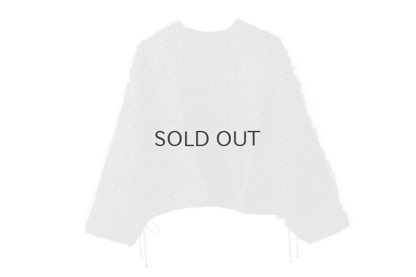 画像1: Khadi Silk Organdy & Embroidery Blouse (BK)