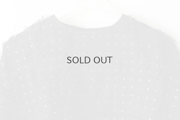 画像4: Khadi Silk Organdy & Embroidery Blouse (BK)