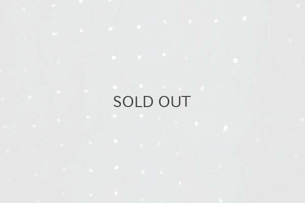 画像5: Khadi Silk Organdy & Embroidery Blouse (BK)