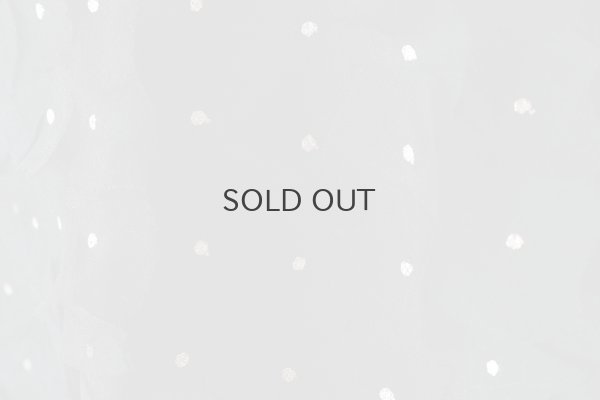 画像6: Khadi Silk Organdy & Embroidery Blouse (BK)