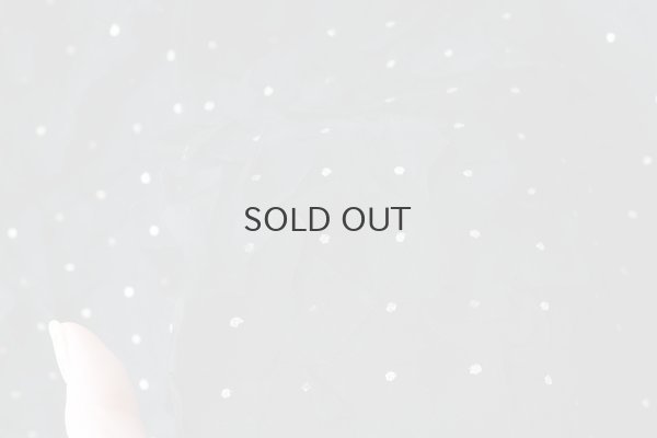 画像8: Khadi Silk Organdy & Embroidery Blouse (BK)