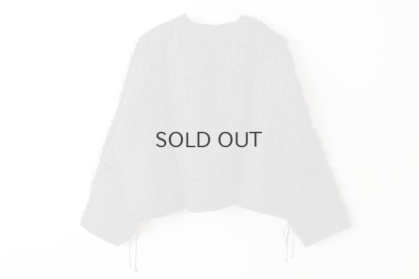 画像2: Khadi Silk Organdy & Embroidery Blouse (BK)