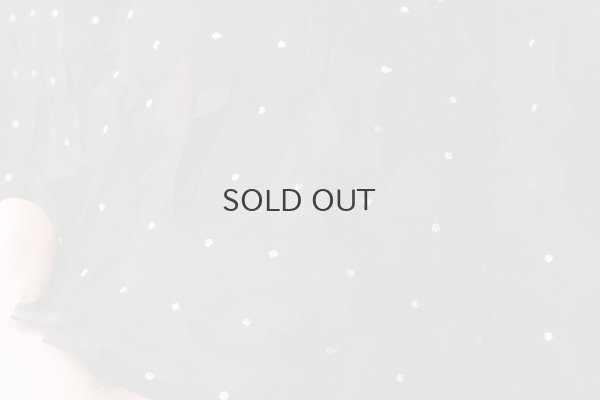 画像7: Khadi Silk Organdy & Embroidery Flap Pants (BK)