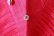 画像5: Khadi Silk Tuck Ruffle Collar (RV)