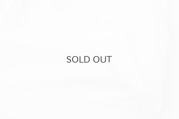 画像9: 丸襟ギャザーブラウス (WH)