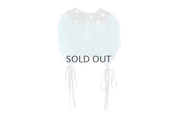 画像1: ナイロンチュールプリント×エステルベルベット刺繍ブラウス (TQ)