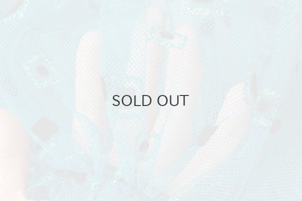 画像13: ナイロンチュールプリント×エステルベルベット刺繍ブラウス (TQ)