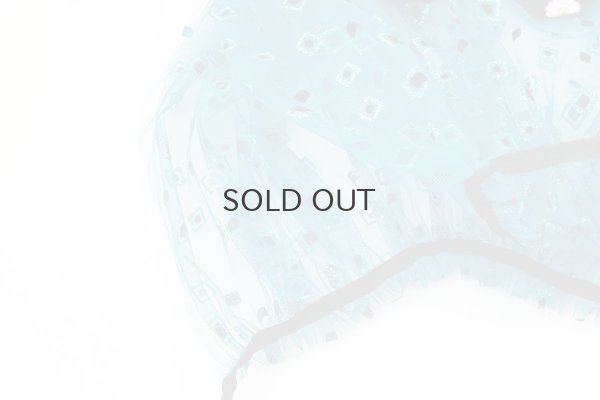 画像8: ナイロンチュールプリント×エステルベルベット刺繍ブラウス (TQ)