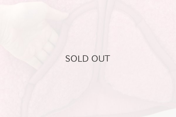 画像5: 別注カラー!! ROBBY ボアベスト (PK)